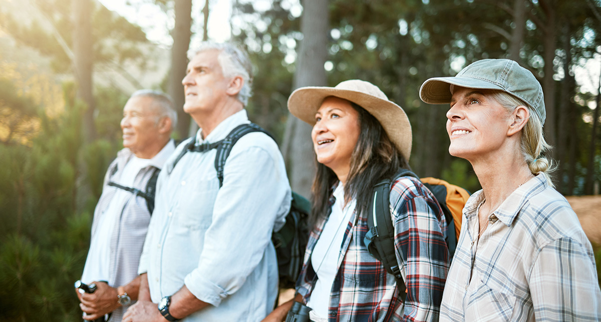Hiking, adventure and exploring with a group of senior friends looking at the view on a nature hike in a forest or woods outdoors. Retired people on a journey of discovery and enjoying a walk outside.